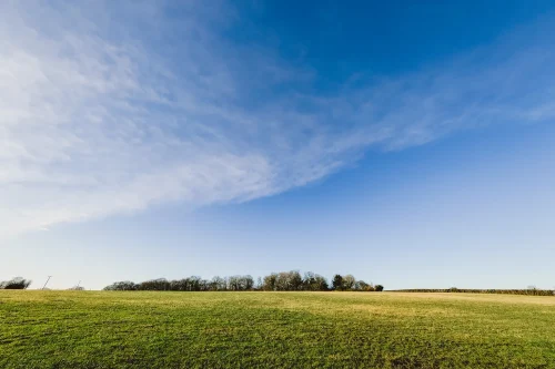 Tockington Park Lanscape